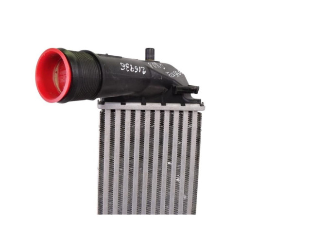 Интеркулер  H1BG6K775AC   Ford Ecosport 