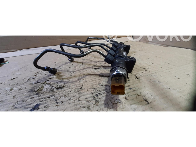 Топливная рампа 9804776780 Citroen C4 II Picasso