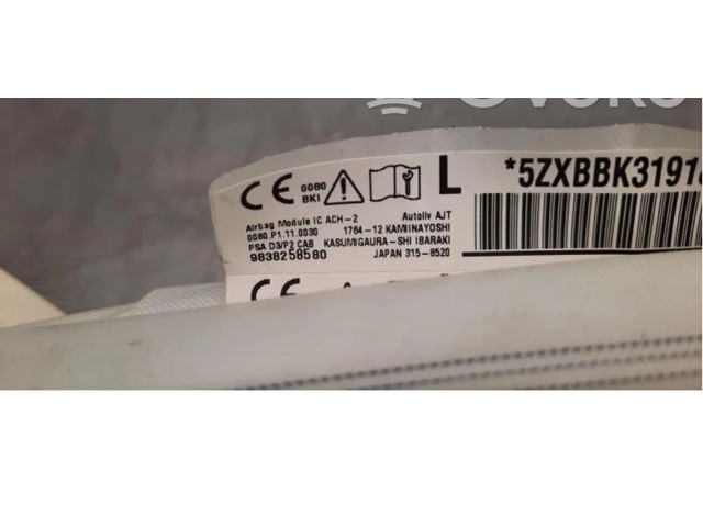 Боковая подушка безопасности 9838258580 Peugeot 2008 II