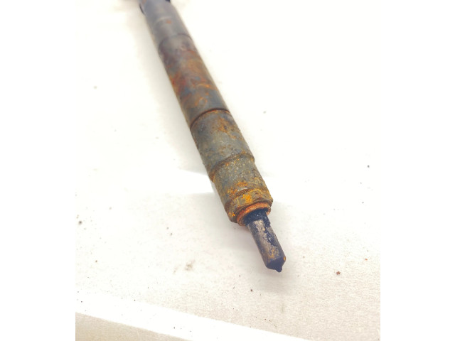 Форсунка 25183186, 28264951    Chevrolet Captiva   