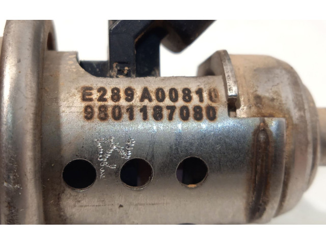 Vstřikovač 9801187080 Peugeot 5008 AHX