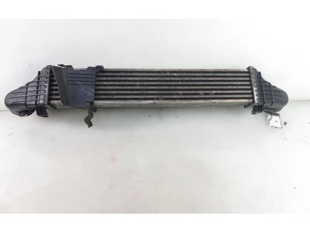 Интеркулер  2115001102, 2115001102   Mercedes-Benz E AMG W211 