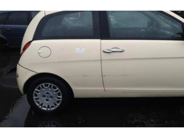 Надувная подушка для крыши    51848464   Lancia Ypsilon