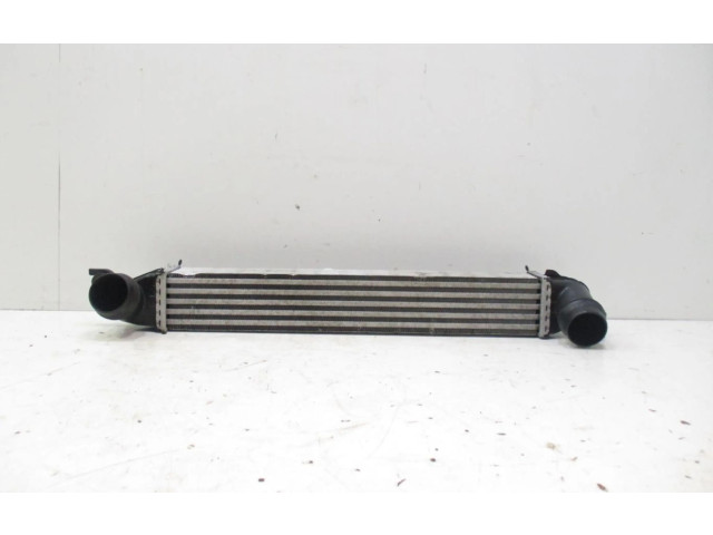 Интеркулер  1751850690402   Mini Cooper Countryman R60 