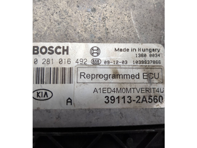 Блок управления двигателя 0281016492, 391132A560   KIA Ceed