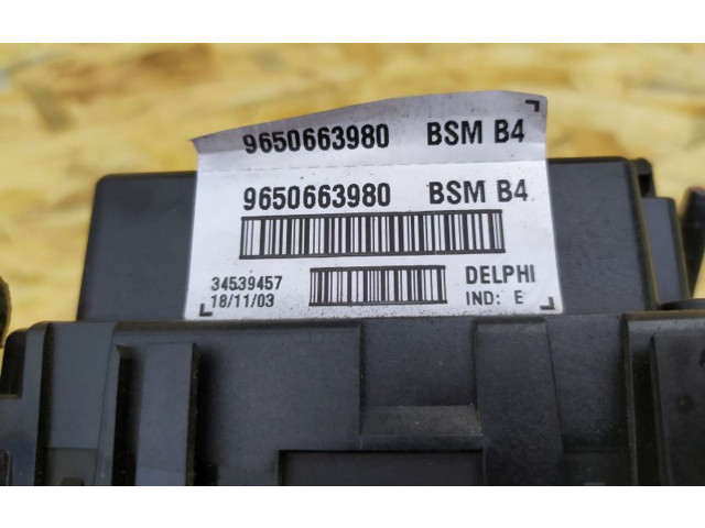   Pojistková skříňka 9650663980   Peugeot 206 CC 2003