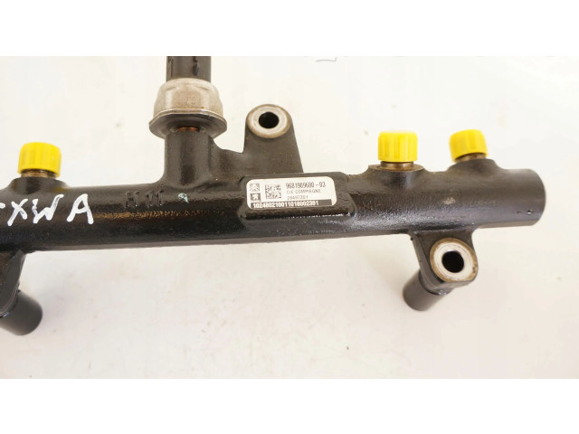 Магистральная трубка топлива 9681909680-03    Peugeot 5008   