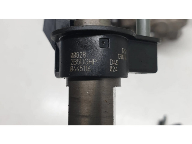 Vstřikovač 7800123, 0445010617 BMW 5 GT F07 pro naftový motor 3.0