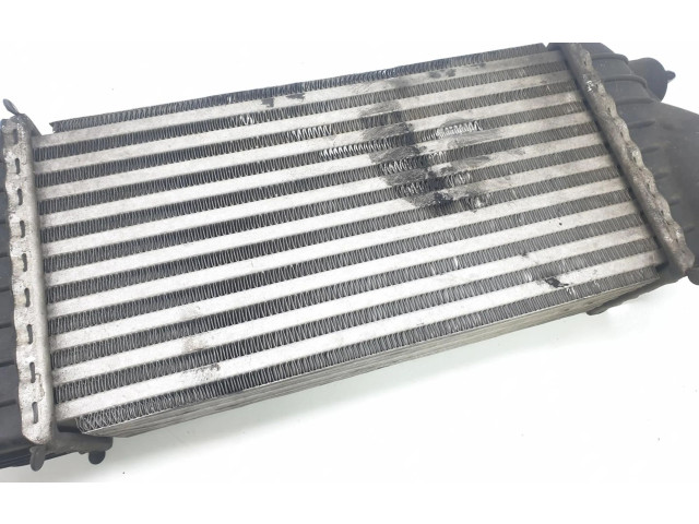 Интеркулер  U2030002, 0384J9   Peugeot Expert 1.9