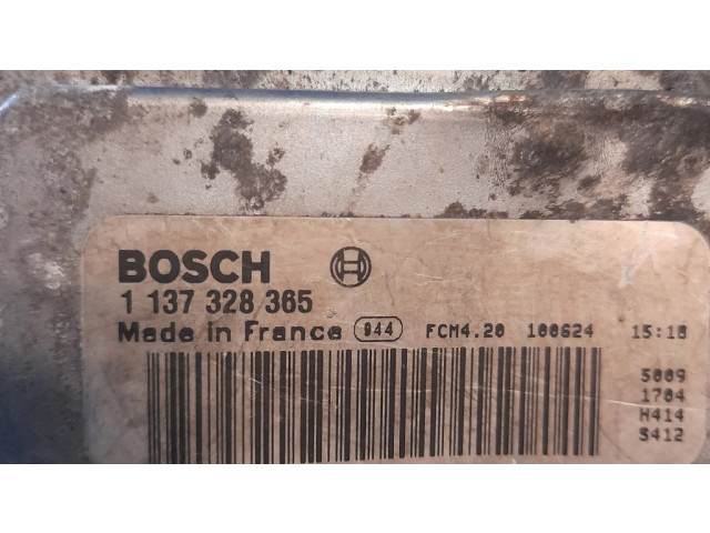 Вентилятор радиатора 1137328365, 100624 Ford Focus 1.6