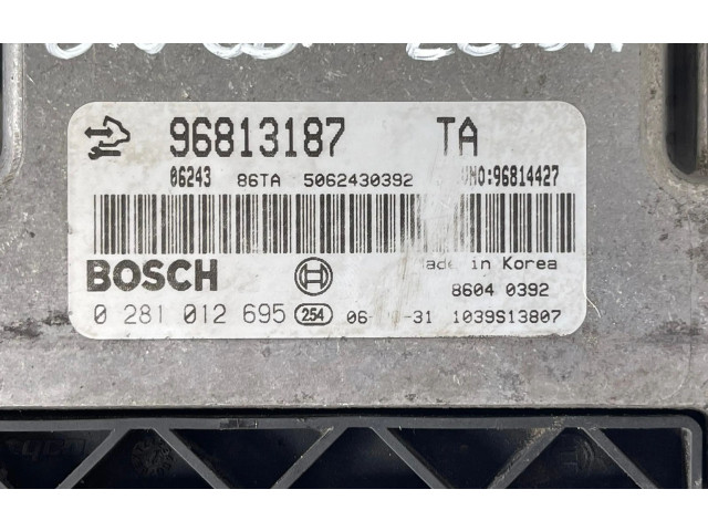 Řídící jednotka 96813187, 96813187 Chevrolet Captiva 2006