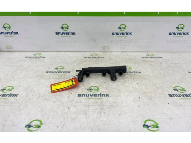 Топливная рампа 9676020480, 9676020480   Citroen C3 Aircross   для двигателя EB2FA(HMR)