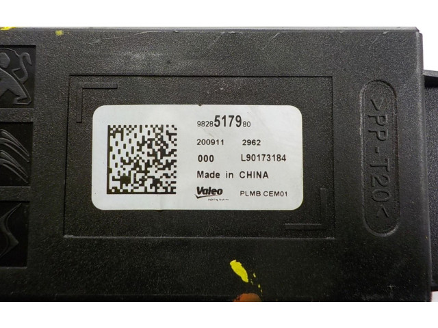 Блок управления 9828517980, 9828517980   Peugeot 2008 II