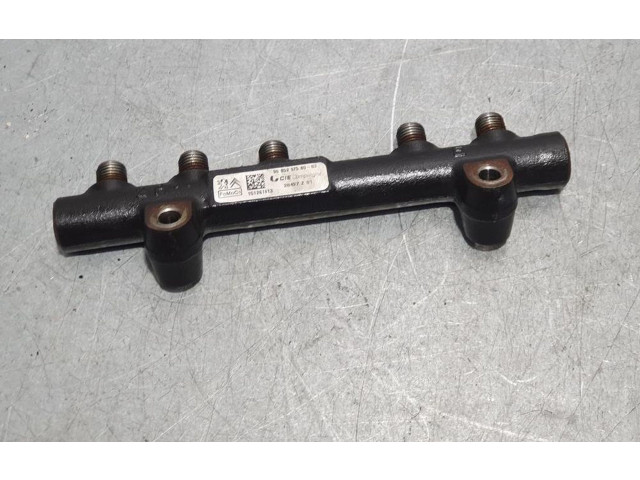Топливная рампа 9685297580, CIECOMPIEGNE   Citroen DS3  