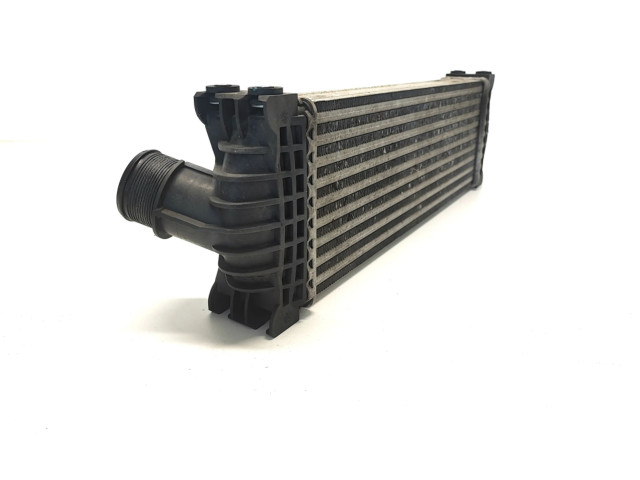 Интеркулер GK21-6K775-AE Ford Tourneo