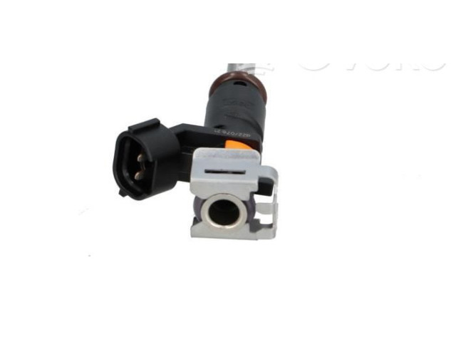 Форсунка 166008992R, 166008992R    Dacia Dokker   