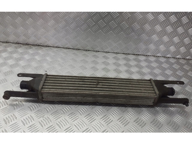 Интеркулер     Fiat Punto (188) 