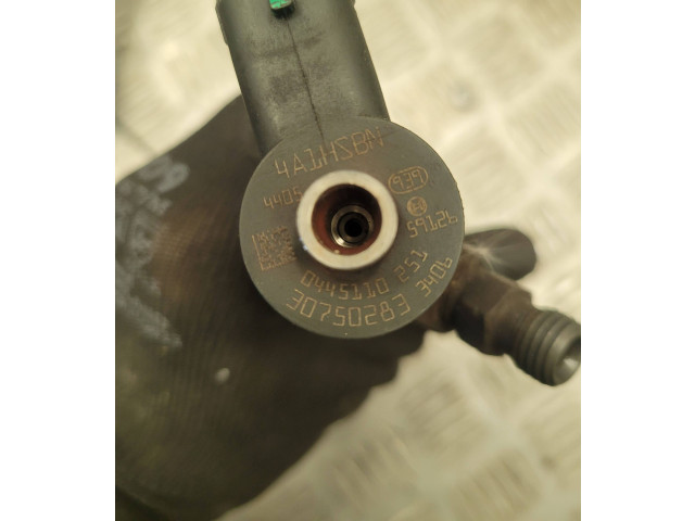 Форсунка 0445110251, 307502833406    Volvo S60   