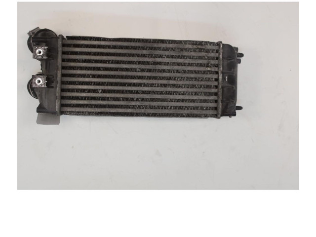 Интеркулер     Citroen Berlingo 