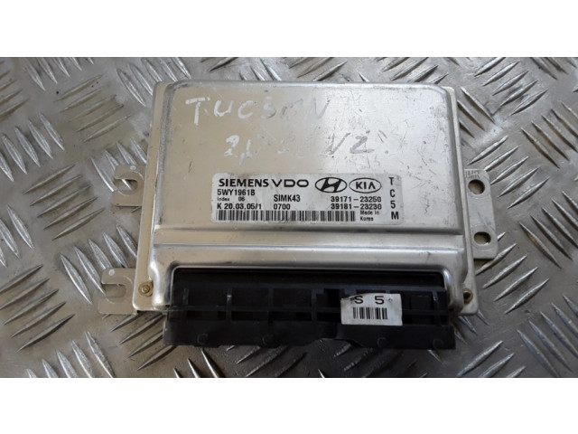 Řídící jednotka 5WY1961B, 3917123250 Hyundai Tucson JM 2005