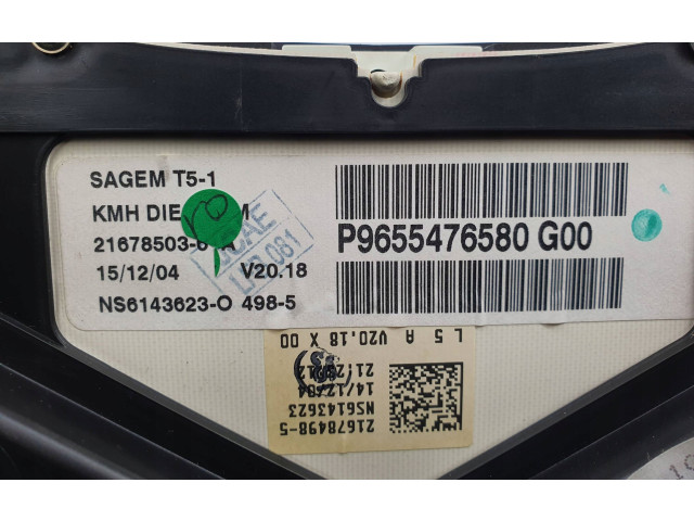 Přístrojová deska Peugeot 307 2005 9655476580