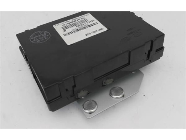 Блок управления 954101G104, T10GA1200944   KIA Rio