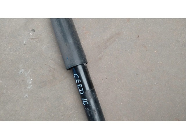 Задний aмортизатор      