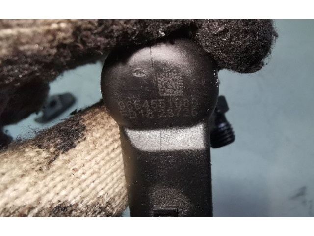 Форсунка 9654551080 Ford Fiesta