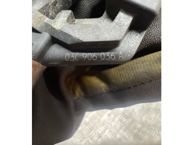 Форсунка 03C906036A Volkswagen Golf Plus