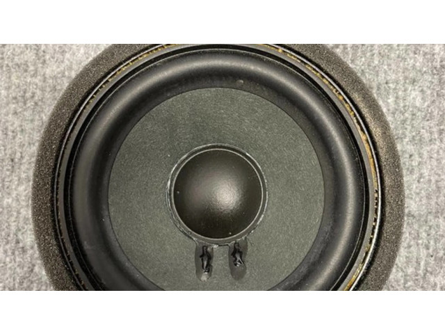 Громкоговоритель (громкоговорители) в передних дверях