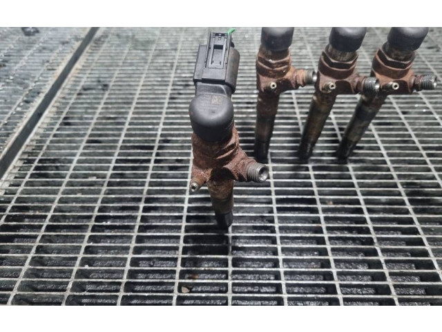 Жиклер (жиклеры) (форсунка (форсунки) 166006212R, H8201100113   Dacia Duster    