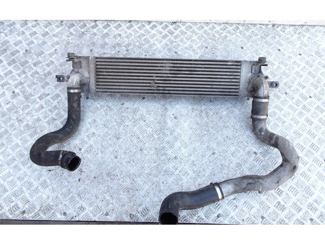 Интеркулер  14461JG70C, P3578003   Nissan X-Trail T31 