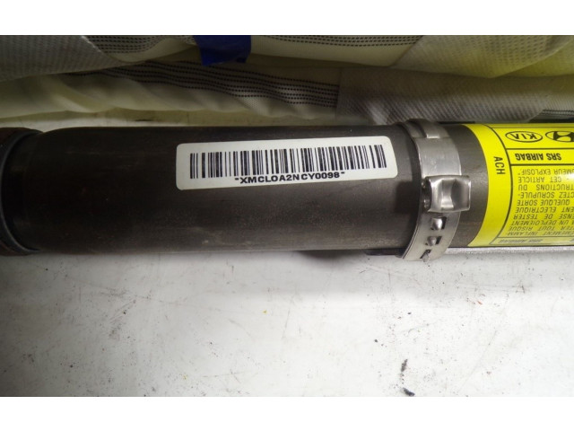 Надувная подушка для передней двери 850102P500, XMCLOA2NCY0098   KIA Sorento    