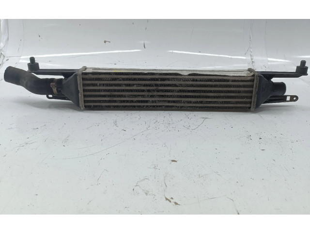 Интеркулер  866450000, AMASSADOFOTOS   Fiat Grande Punto 