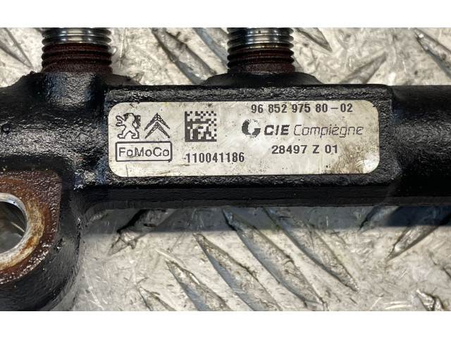 Vstřikovací lišta 9685297580, 110041186 Ford Fiesta