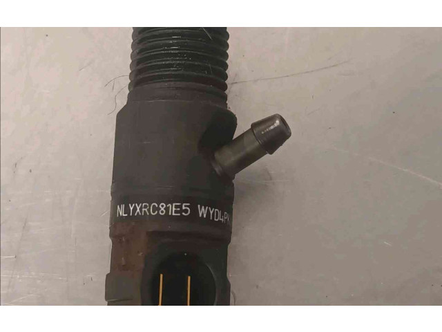 Форсунка 166000897R    Renault Clio III   