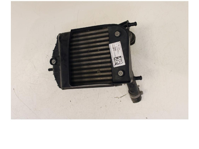 Интеркулер     Fiat Punto (188) 1.2