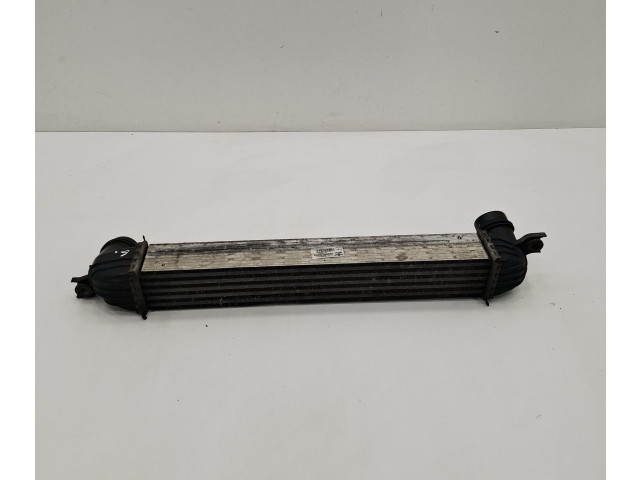 Интеркулер 8506904 Mini Paceman (R61)