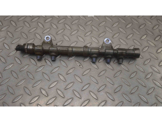 Vstřikovací lišta 494092, 0445214217 Fiat Punto (199) 199 B4.000