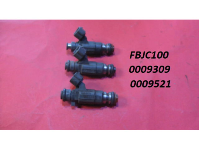 Vstřikovač FBJC100, 0009309   Nissan Maxima   0.0  