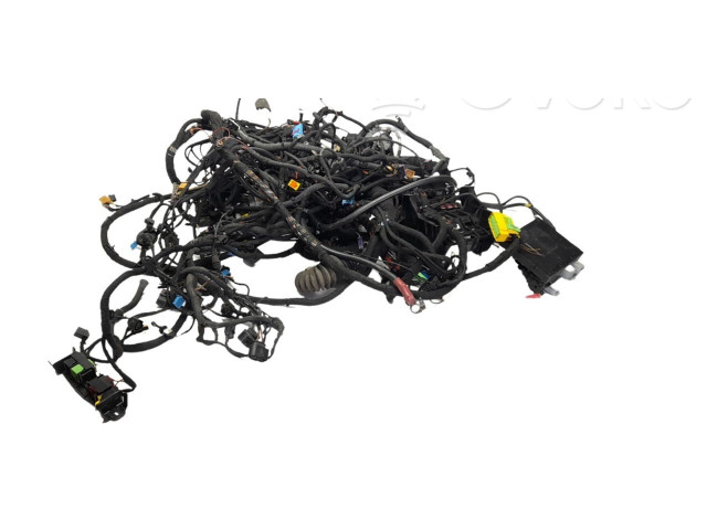 Блок управления CABLEADOCOMPLETO Audi R8 42