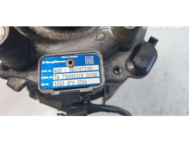 Turbodmychadlo Турбина 53039700394, 9807873180 Peugeot Expert 2.0 AHK (DW10FE)