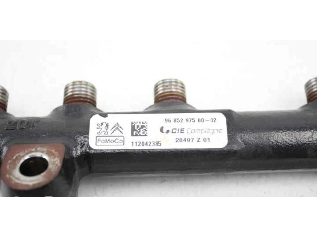 Vstřikovací lišta 9685297580 Citroen Berlingo pro naftový motor 1.6