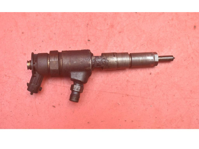 Форсунка 0445110252, 0445110252    Citroen Nemo   