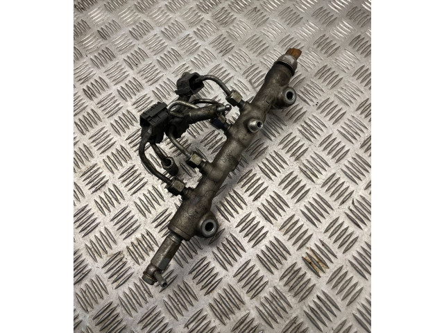 Vstřikovací lišta Nissan Murano Z51