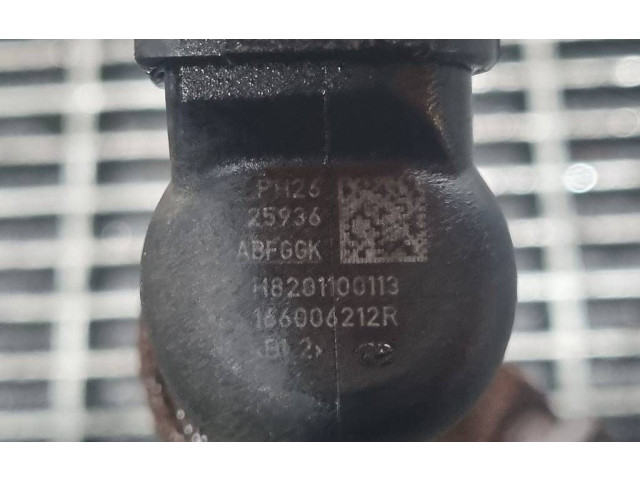 Жиклер (жиклеры) (форсунка (форсунки) H8201100113, 166006212R   Dacia Duster    