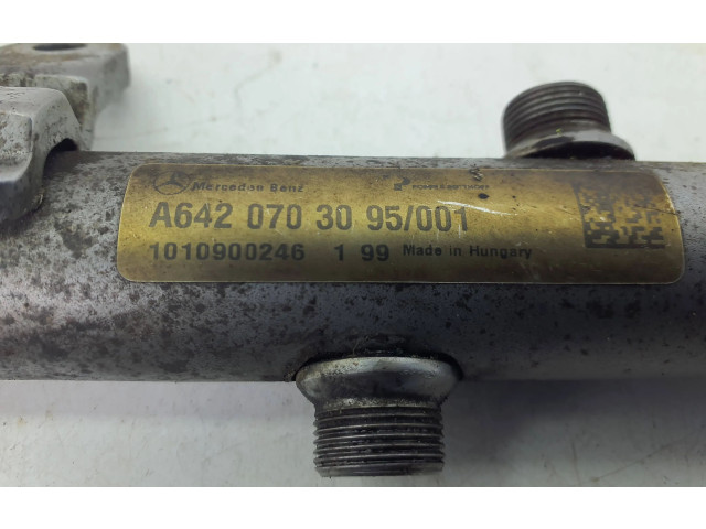 Vstřikovací lišta A6420703095, 1010900246 Mercedes-Benz E W212