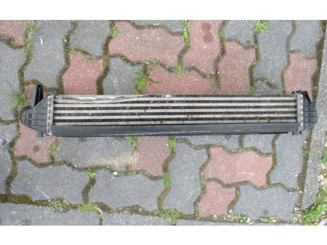 Интеркулер Skoda Fabia Mk2 (5J)