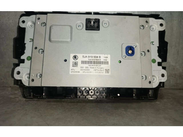 Дисплей 5JA919604B, 5JA919604B Skoda Rapid (NH)