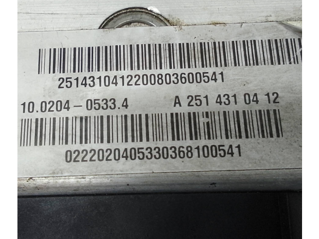 Блок АБС A2514310412, 10020405334   Mercedes-Benz  GL X164  2006 - 2012 года